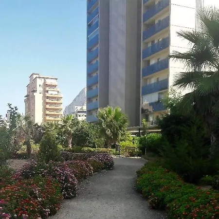 Mirador *
