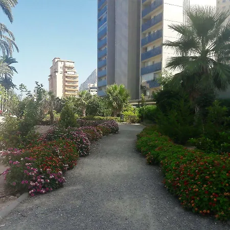 Mirador